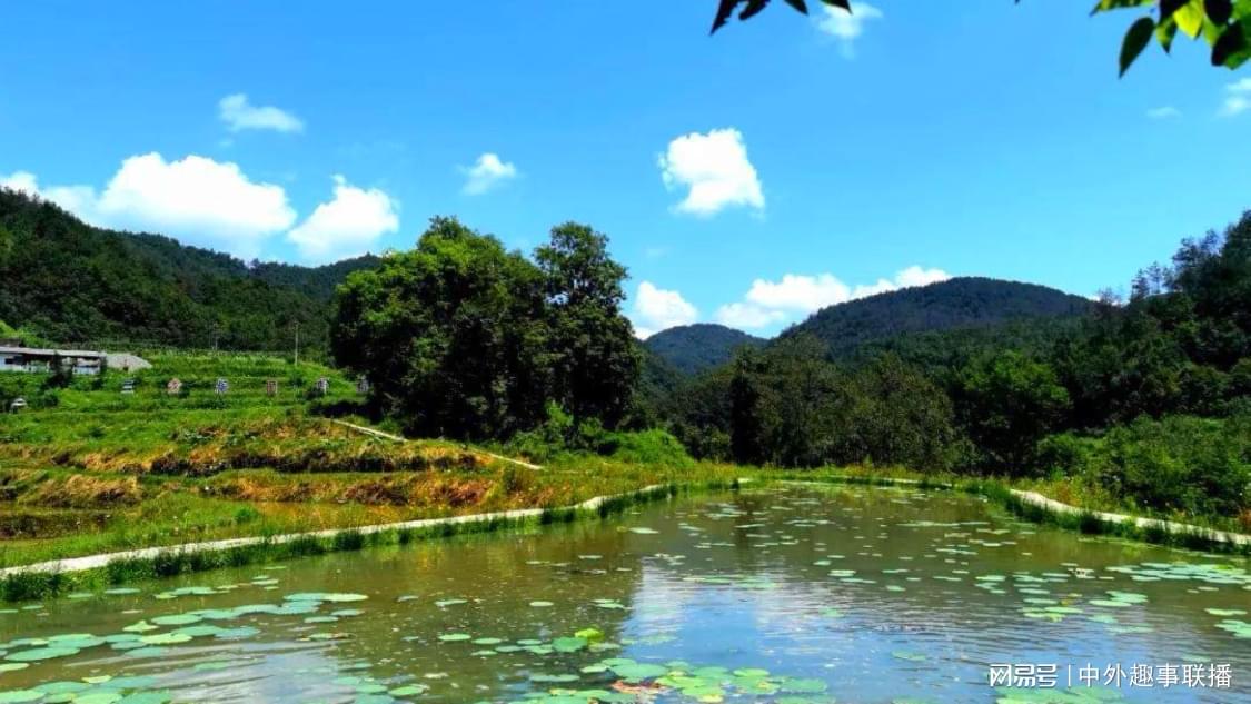 dy业务代低价平台十个