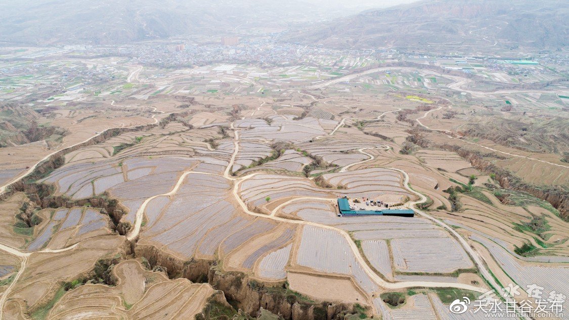快手点赞平台24小时秒单业务平台