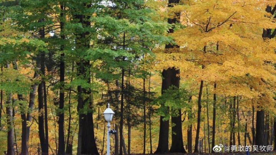 找工作不要限制于招聘app