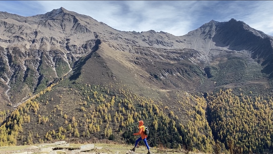 中国咖啡98%来自云南